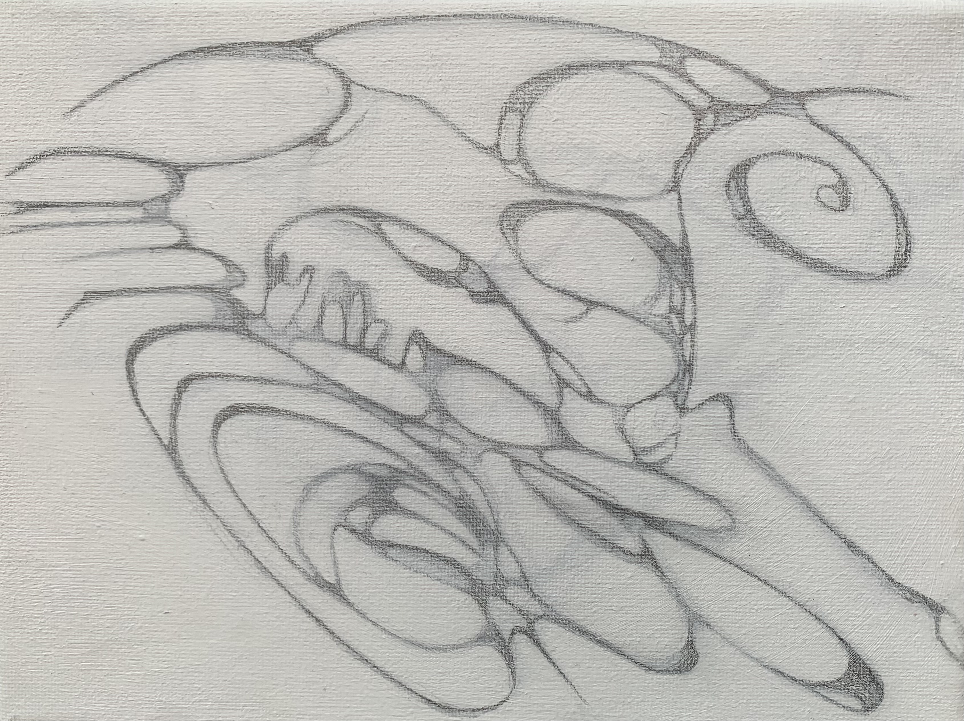 Image 33